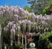 Nooroo Gardens - Accommodation Mt Buller