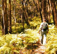 Federal Pass - Accommodation Mt Buller