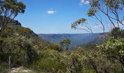 Mount Banks Road Cycle Route - Accommodation Mt Buller 2
