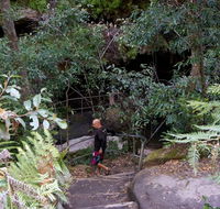 Leura Cascades Fern Bower - Accommodation Mt Buller