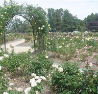 Victoria Park Rose Garden - Accommodation Mt Buller