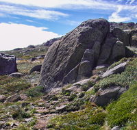 Mount Stillwell walk - Accommodation Mt Buller
