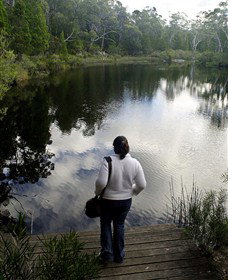 Boonoo Boonoo Falls National Park - Accommodation Mt Buller 1