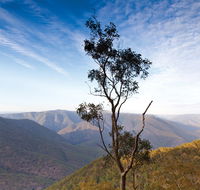 Salisbury Waters walking track - Accommodation Mt Buller