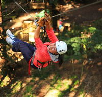 Trees Adventure Grose River Park - Accommodation Mt Buller