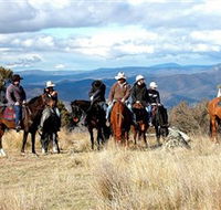 Snowy Wilderness - Accommodation Mt Buller