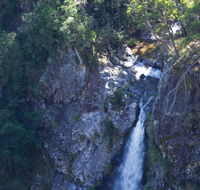 Lyrebird Falls walking track - Accommodation Mt Buller