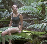 Barrington Tops National Park - Honeysuckle Forest Track - Accommodation Mt Buller