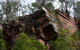 Mitchell River Walking Track - thumb 2