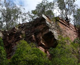Mitchell River Walking Track - Accommodation Mt Buller 2