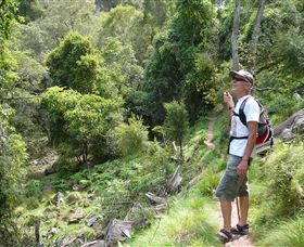 Mitchell River Walking Track - Accommodation Mt Buller 1