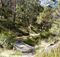 Wollomombi walking track - Accommodation Mt Buller