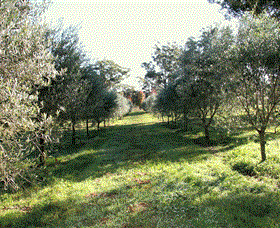 Langdale Farm - Accommodation Mt Buller