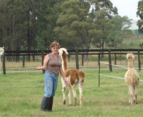 Langdale Farm - Accommodation Mt Buller 4