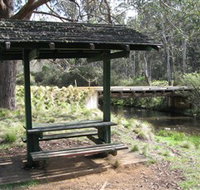 Barrington Tops State Forest - Accommodation Mt Buller