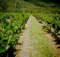 Gartelmann Wines - Accommodation Mt Buller