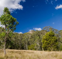 Brush Turkey track - Accommodation Mt Buller