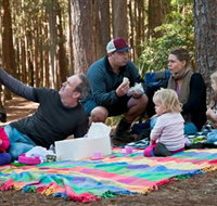 State Forests of the Watagan Mountains - Accommodation Mt Buller