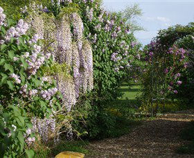 Back O The Moon - Accommodation Mt Buller 3