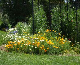 Back O The Moon - Accommodation Mt Buller 2