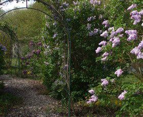 Back O The Moon - Accommodation Mt Buller 4