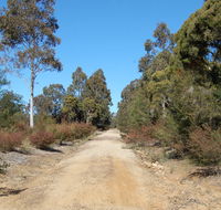 Werakata National Park - Accommodation Mt Buller