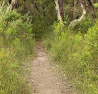 Three Views walking track - Accommodation Mt Buller