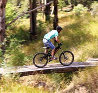 The Steps Mountain Bike Park
