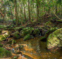 Palm Grove Nature Reserve - Accommodation Mt Buller