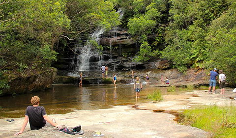 Somersby Falls Picnic Area - Accommodation Mt Buller 0