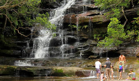 Somersby Falls Picnic Area - Accommodation Mt Buller 2