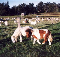 Trudgalong Farm - Accommodation Mt Buller