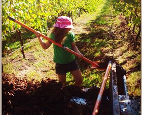 East Gippsland Wines - Accommodation Mt Buller 5