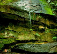 Strickland State Forest - Accommodation Mt Buller
