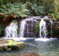 Barrington Tops National Park Walks - Accommodation Mt Buller