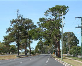 Anzac Memorial Avenue, Redcliffe - Accommodation Mt Buller 2