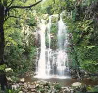 Budderoo National Park - The Falls Walk - Accommodation Mt Buller