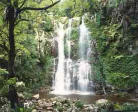 Budderoo National Park - The Falls Walk - Accommodation Mt Buller 0