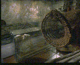 Australian Museum - Accommodation Mt Buller 3