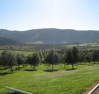 Hastings Valley Olives - Accommodation Mt Buller