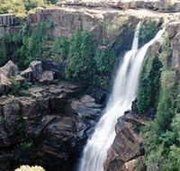 Minnamurra Rainforest Centre Budderoo National Park - Accommodation Mt Buller