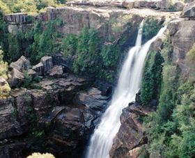 Minnamurra Rainforest Centre: Budderoo National Park - Accommodation Mt Buller 0