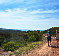 Moonee Beach trail - Accommodation Mt Buller