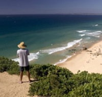 Redhead Beach - Accommodation Mt Buller