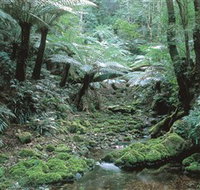 The Corn Trail Walk - Accommodation Mt Buller