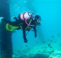 Shellharbour Scuba  Photography Centre