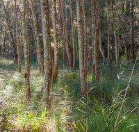 Anabranch loop track - Accommodation Mt Buller