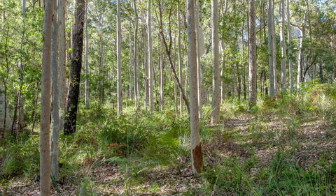 Anabranch Loop Track - Accommodation Mt Buller 2