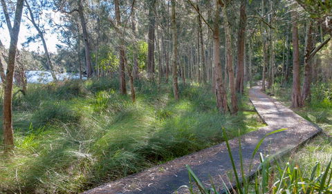 Anabranch Loop Track - Accommodation Mt Buller 3