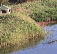 Spring Creek Bird Hide - Accommodation Mt Buller